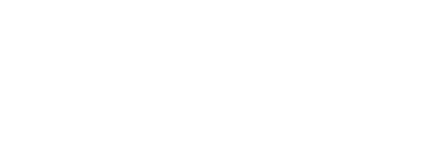 SYLDRA HAZY SESSION IPA